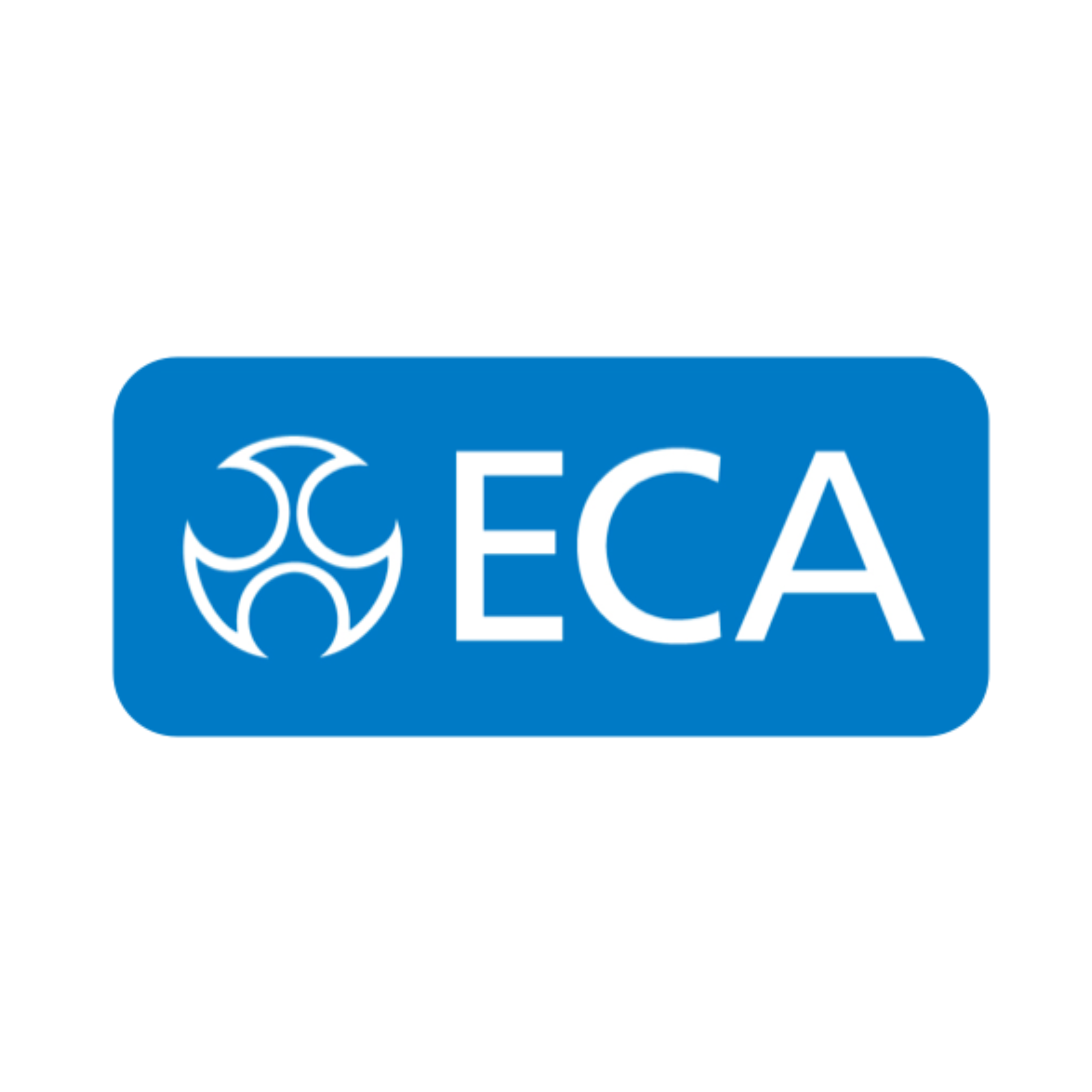 Electrical Contractors’ Association